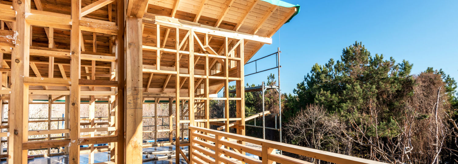 House framing in the treetops